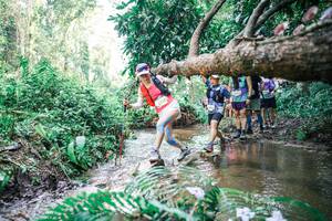 BIB: 
                            <button type="button" onclick="openModal(25476805)" class="btn btn-primary btn-sm float-right btn-popup" data-toggle="modal" data-target=".modal-high-quality">
                        <i class="fas fa-shopping-cart"></i> Add to Cart
                    </button>
                                            <button type="button" onclick="isThisMe(25476805, true)" class="btn btn-success btn-sm float-right btn-popup btn-isme hidden" data-toggle="tooltip" data-placement="bottom" title="นี่คือรูปของคุณใช่ไหม คลิกที่นี่เพื่อเอาเข้าอัลบั้ม">
                        <i class="fas fa-plus"></i> Add to album
                    </button>
                    <button type="button" onclick="isThisMe(25476805, false)" class="btn btn-warning btn-sm float-right btn-popup btn-isnotme hidden">
                        <i class="fas fa-ban"></i> Remove from album
                    </button>